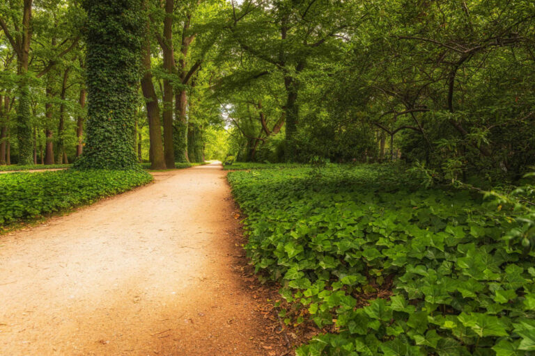 Eight walks to fall in love with green Warsaw